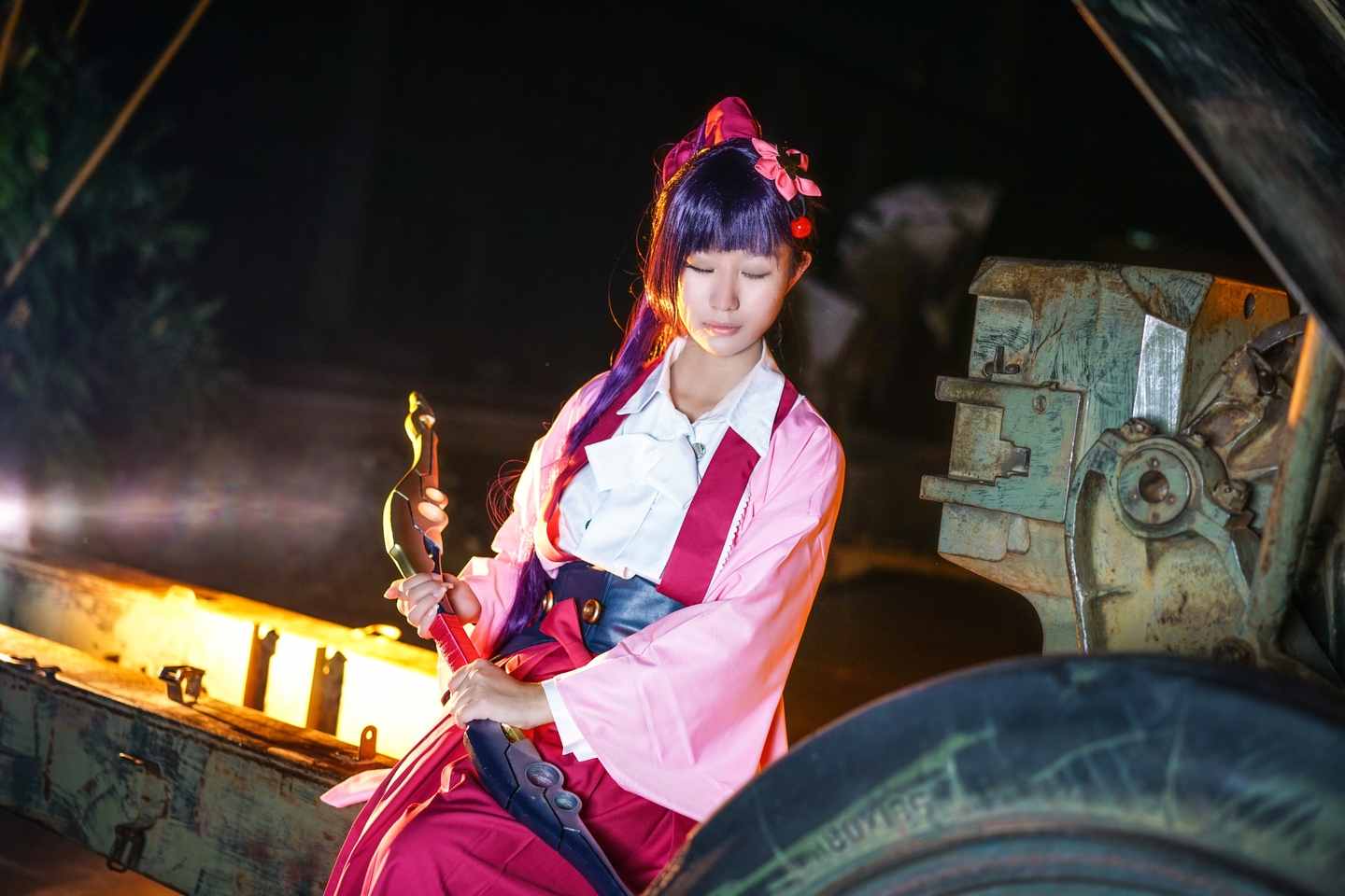 甲铁城大卡内瑞巴菖蒲