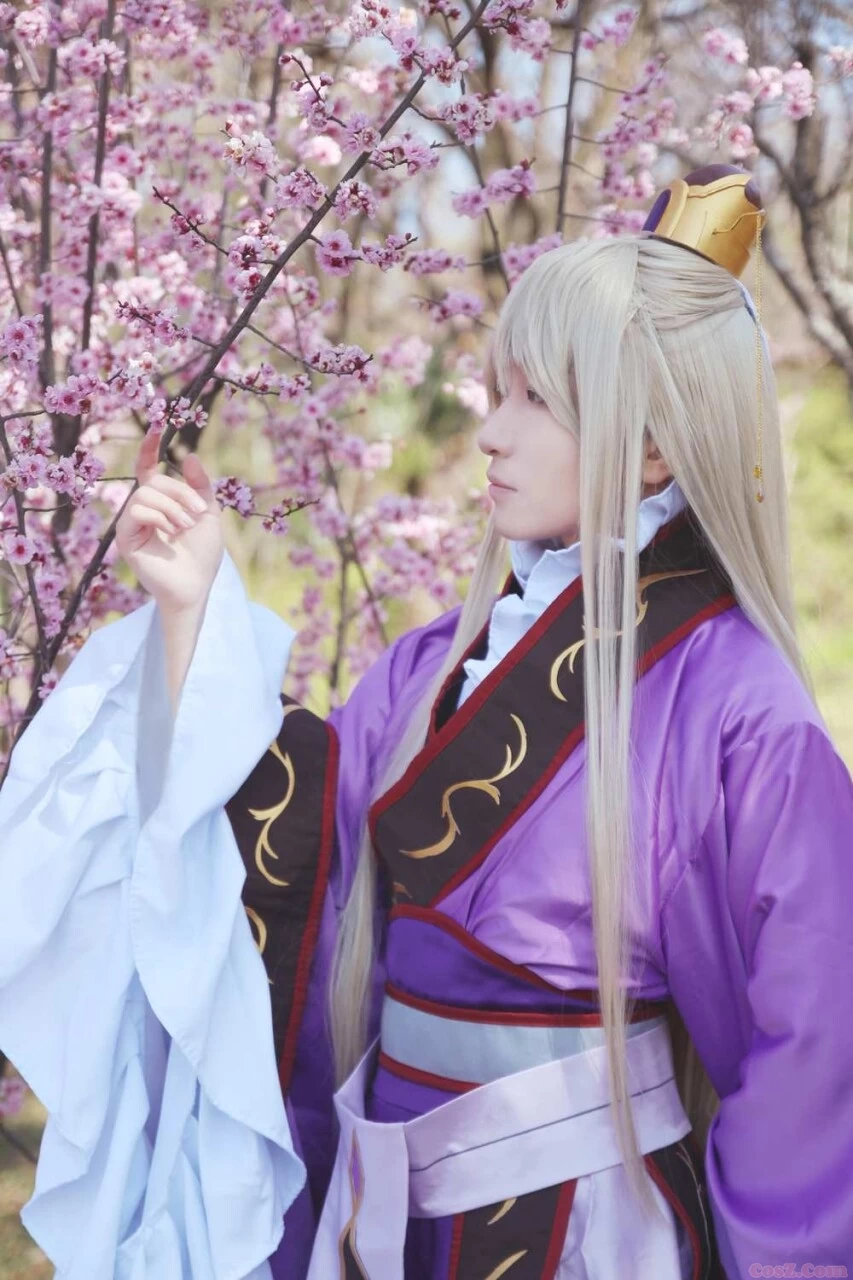 彩云国物语紫刘辉