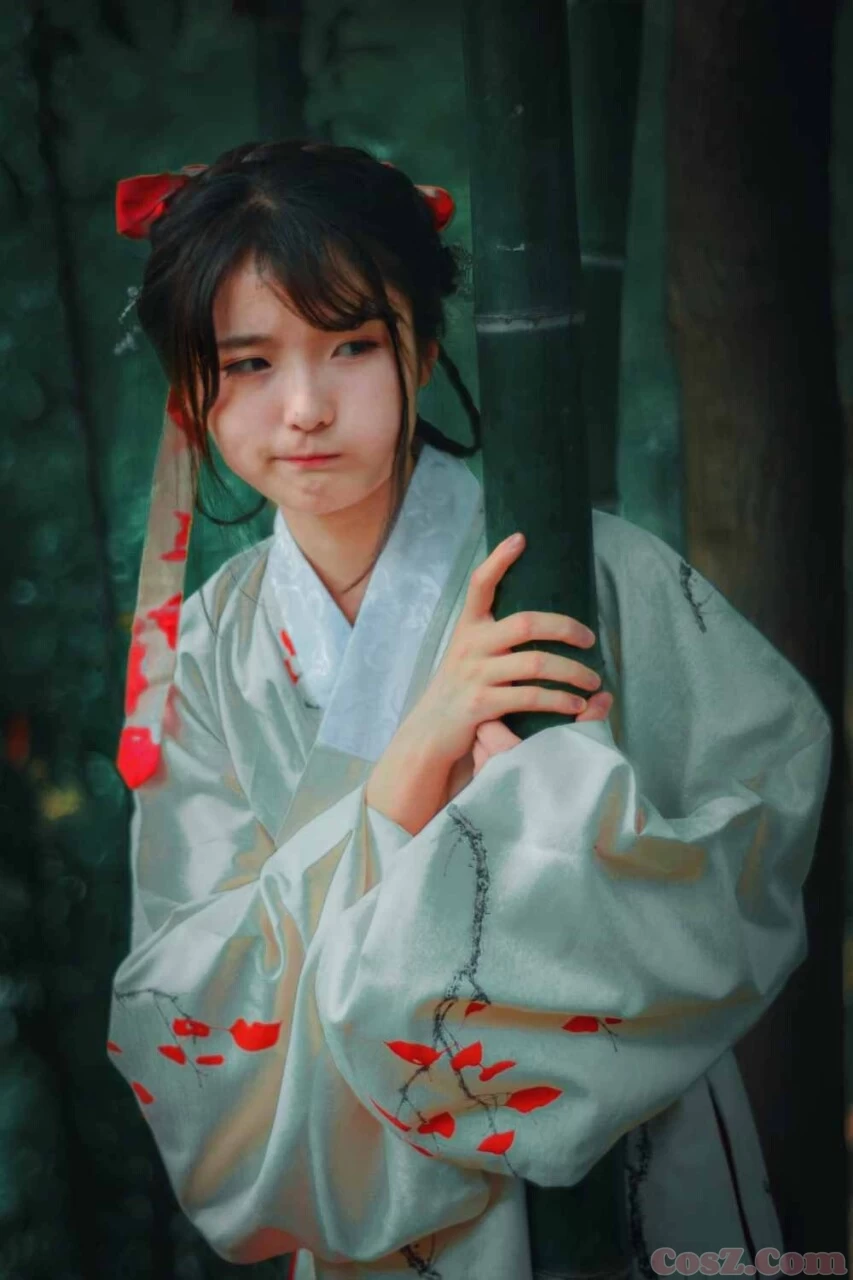 山有木兮木有枝