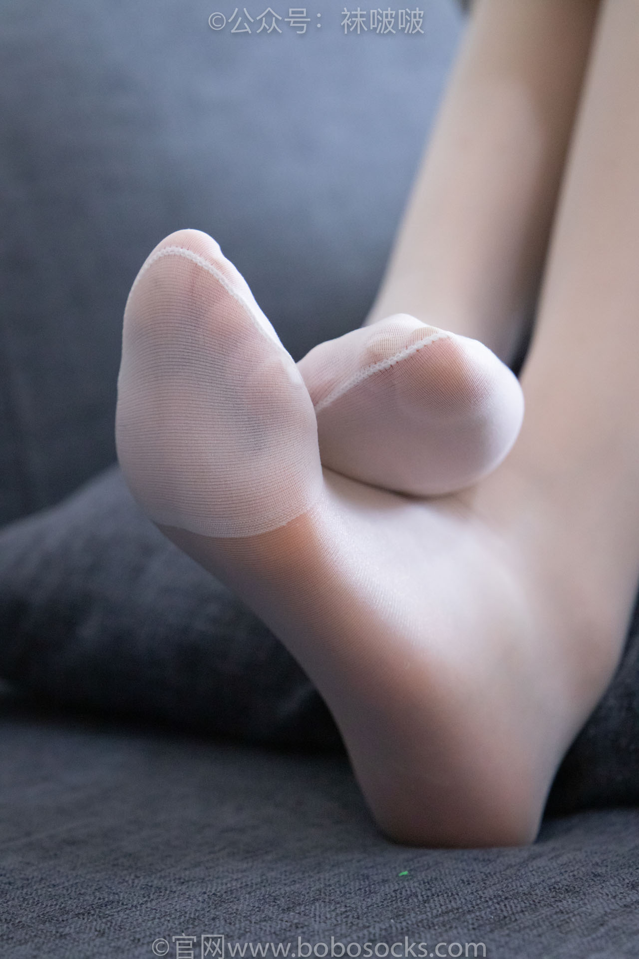 BoBoSocks袜啵啵 – 全套644期( 含4K视频)+限积分9套[4081G-2026.2]